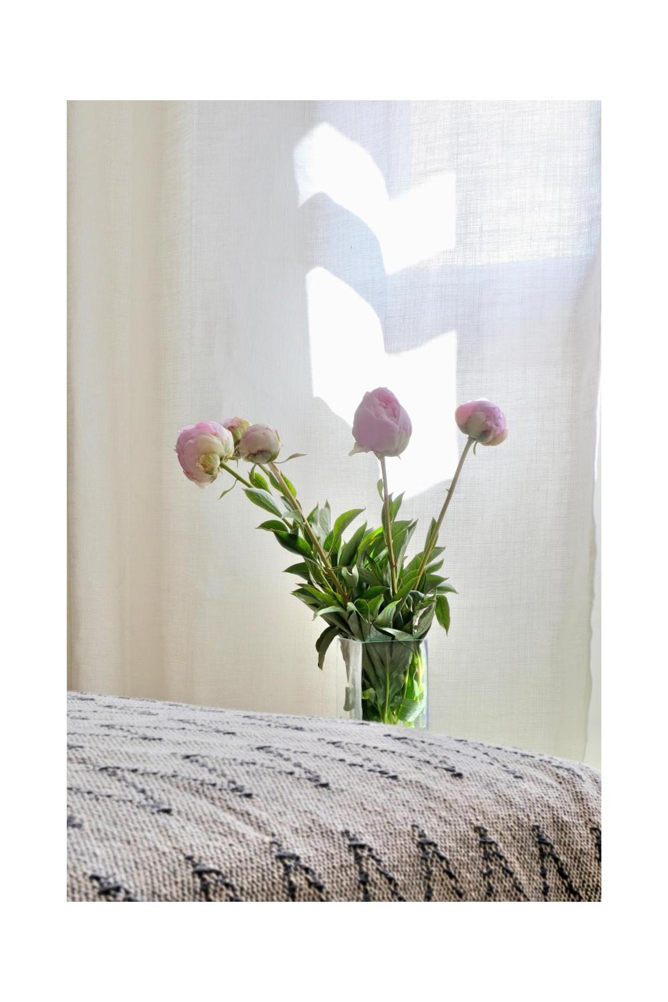 キュキュロン Les Jardins De Sitaara Bed & Breakfast エクステリア 写真